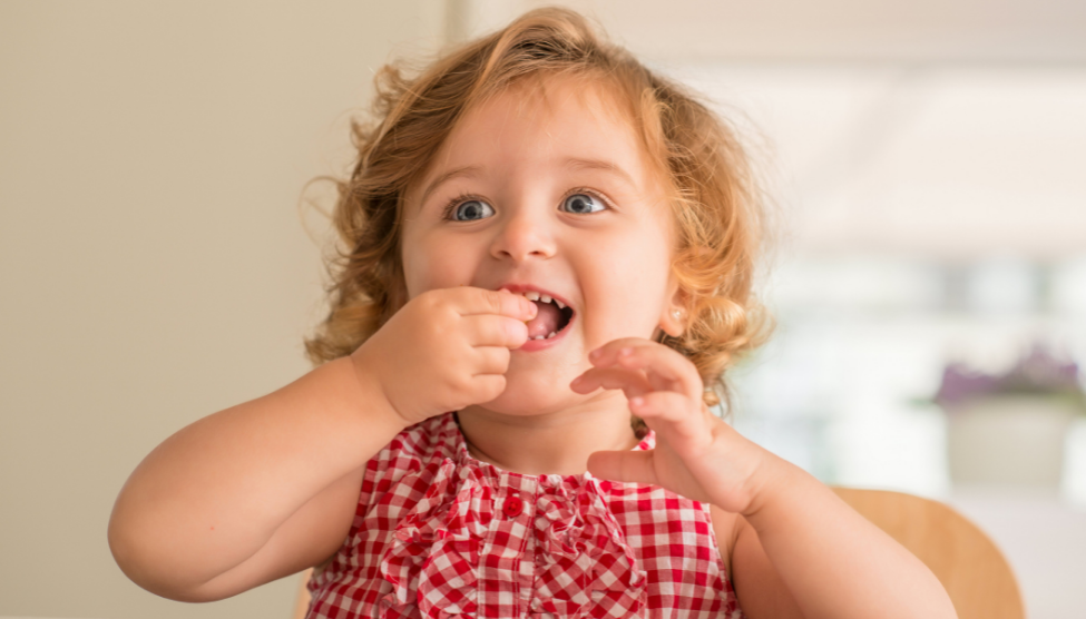 Gummies vs chewables