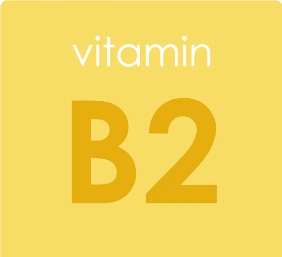 Riboflavin - Multivitamin infant liquid