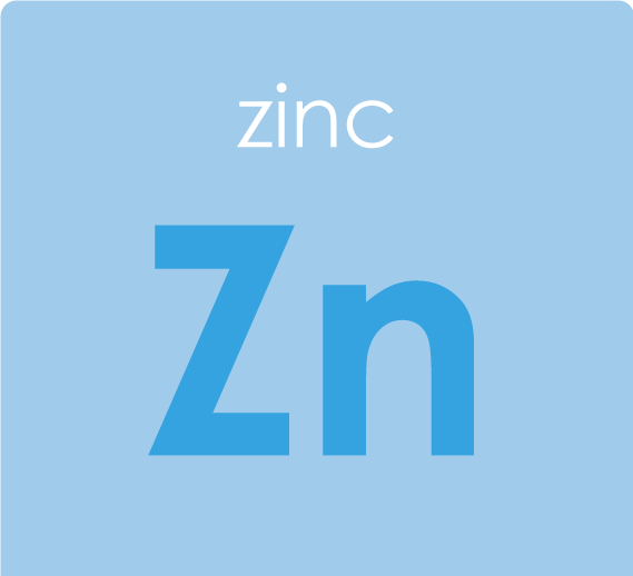 Zinc - Daily immune support gummies