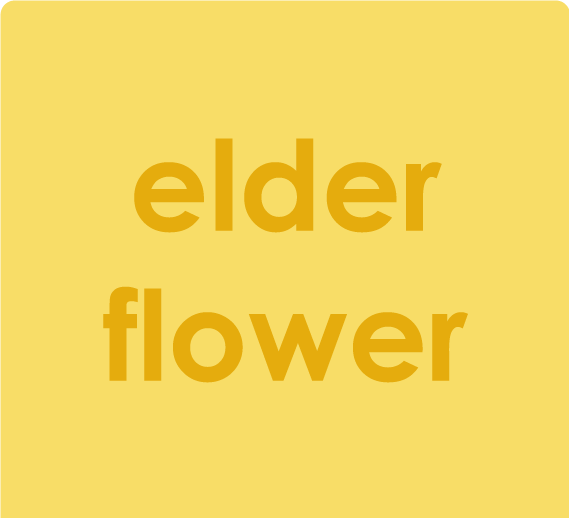 elderflower - Daily immune support gummies